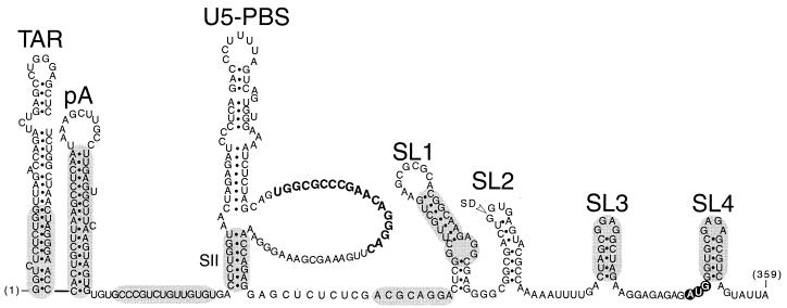 FIG. 5.