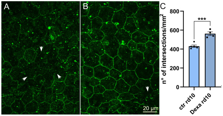 Figure 11