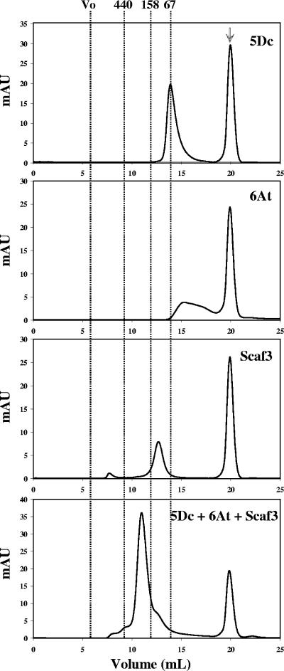 FIG. 7.