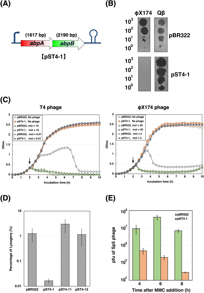 Fig 1