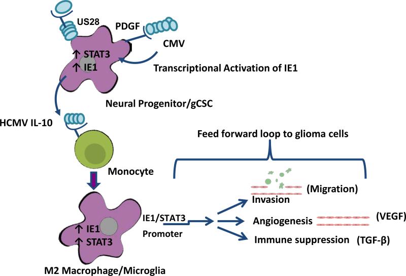 Fig. 6