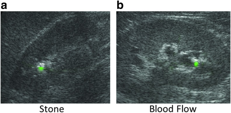 FIG. 6.