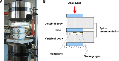 Fig. 2