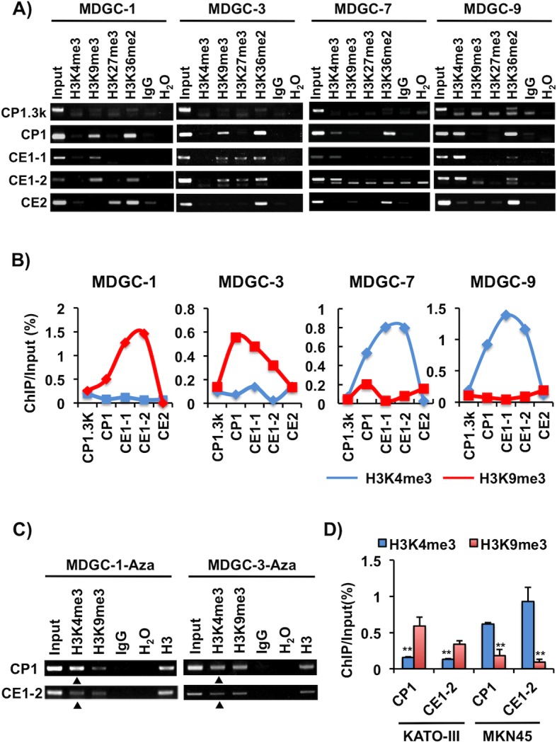 Fig 4