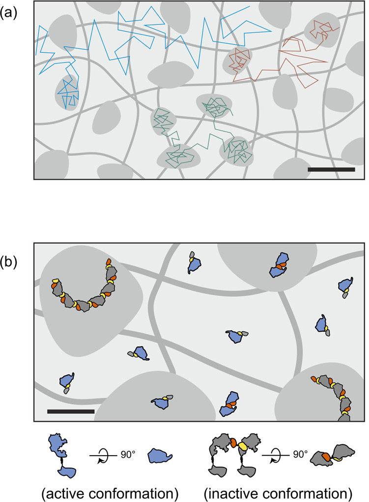 Fig. 8