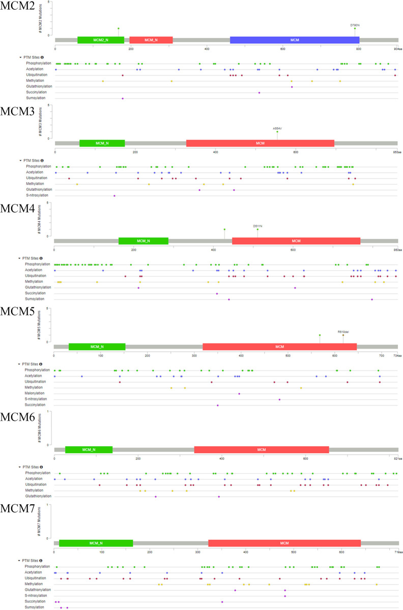 Figure 6