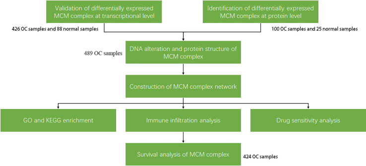 Figure 1