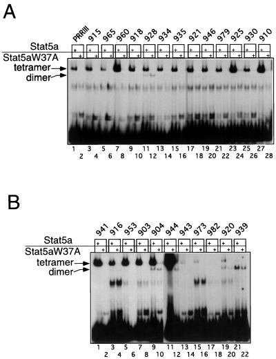 FIG. 8