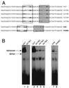 FIG. 11