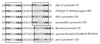 FIG. 13