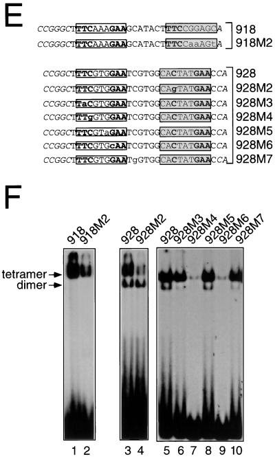 FIG. 10