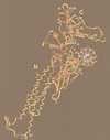 FIG. 6