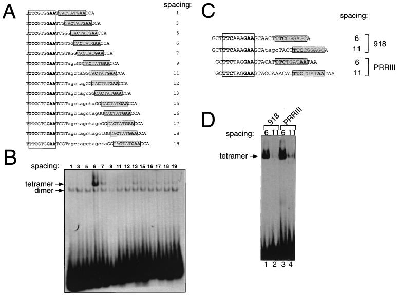 FIG. 12