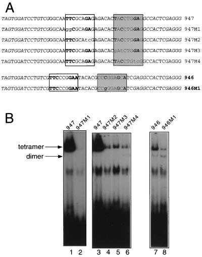 FIG. 11