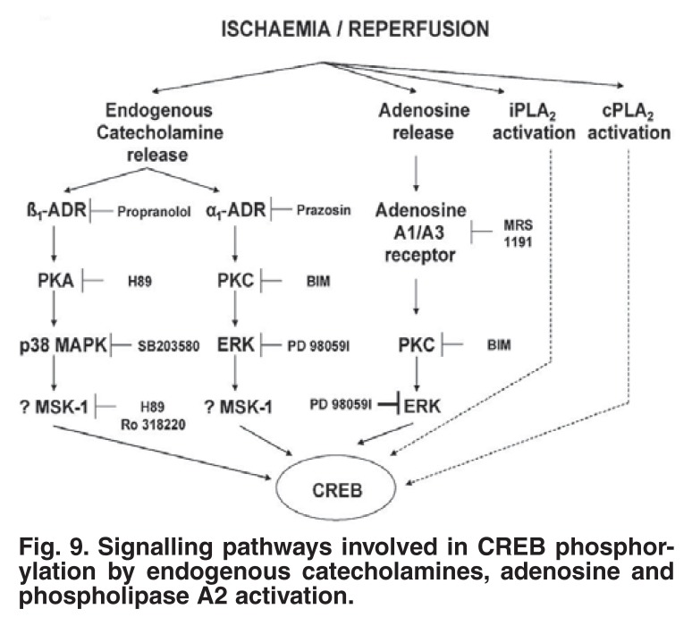 Fig. 9.