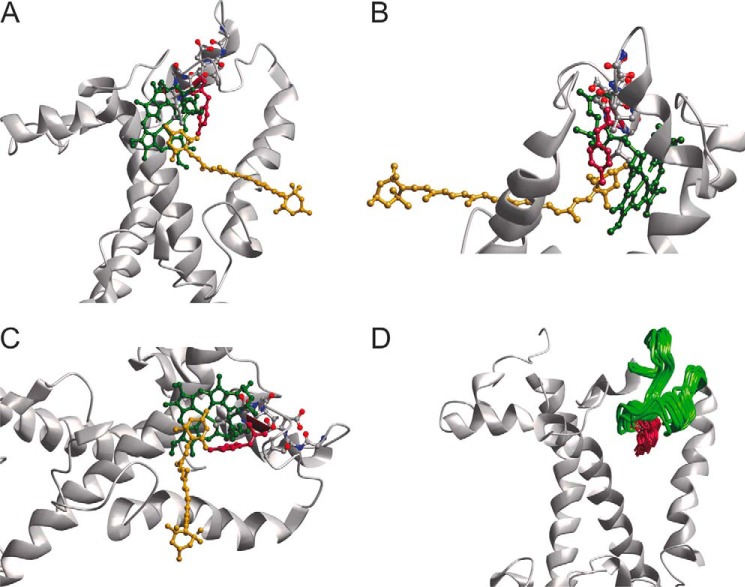 FIGURE 11.