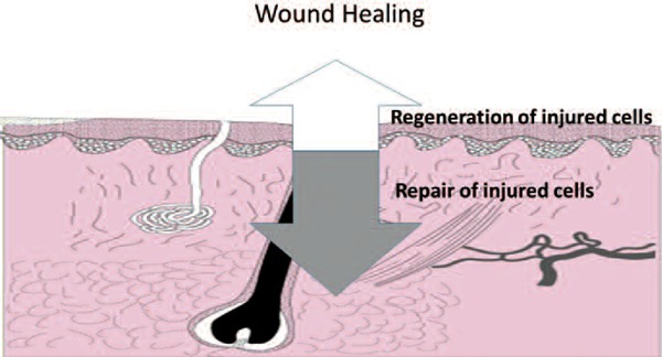 Figure 1:
