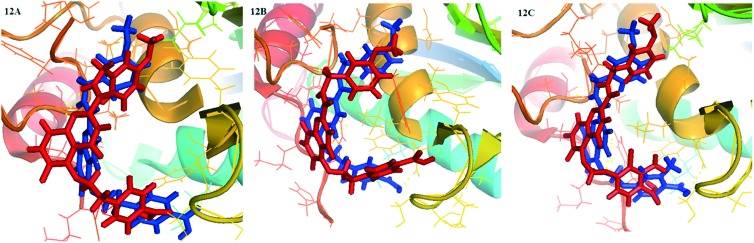 Fig. 12