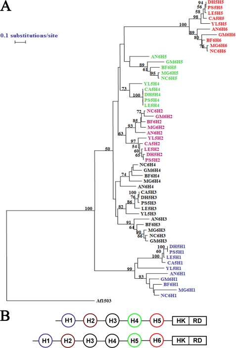 FIGURE 6.