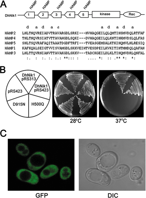 FIGURE 1.