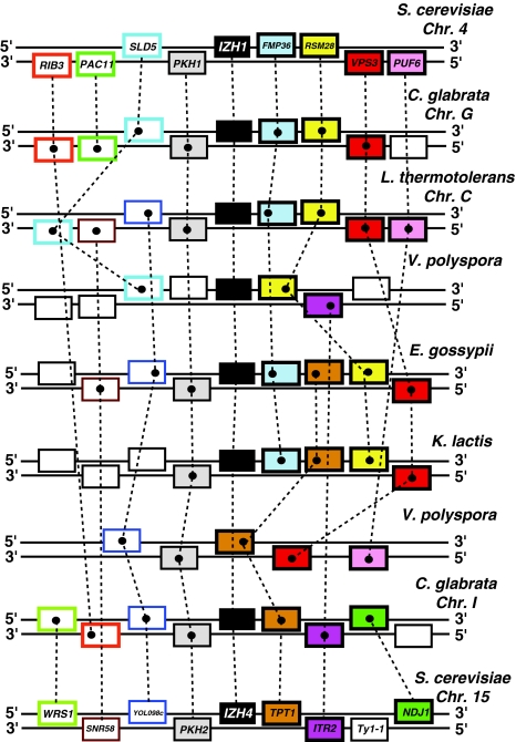 Fig. 7