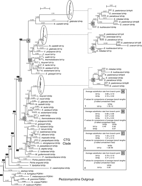 Fig. 6