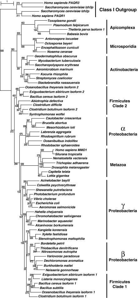 Fig. 11