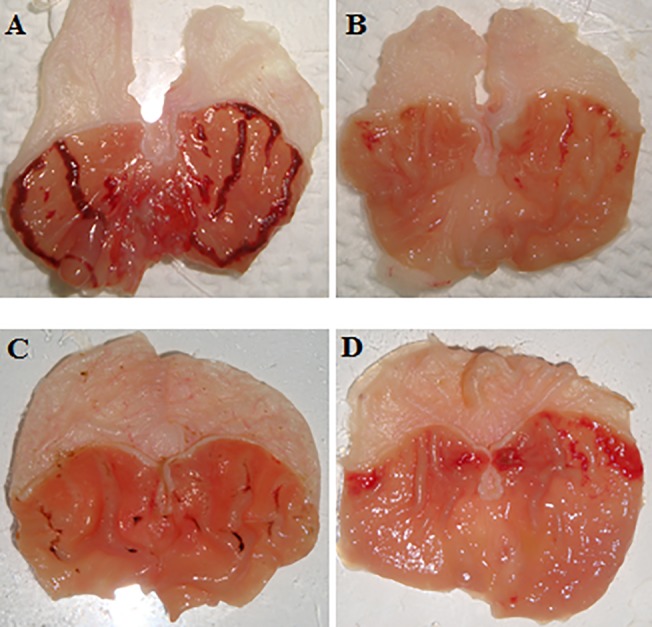 Fig 2