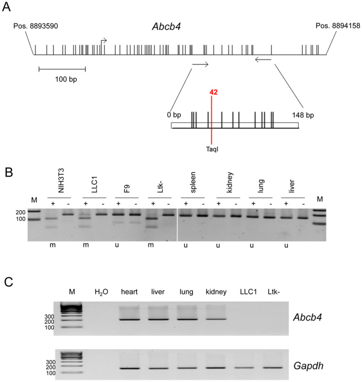 Figure 6