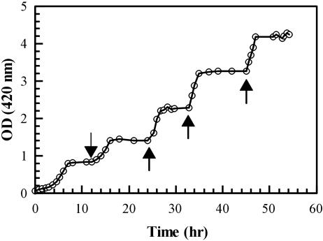 Fig. 2.