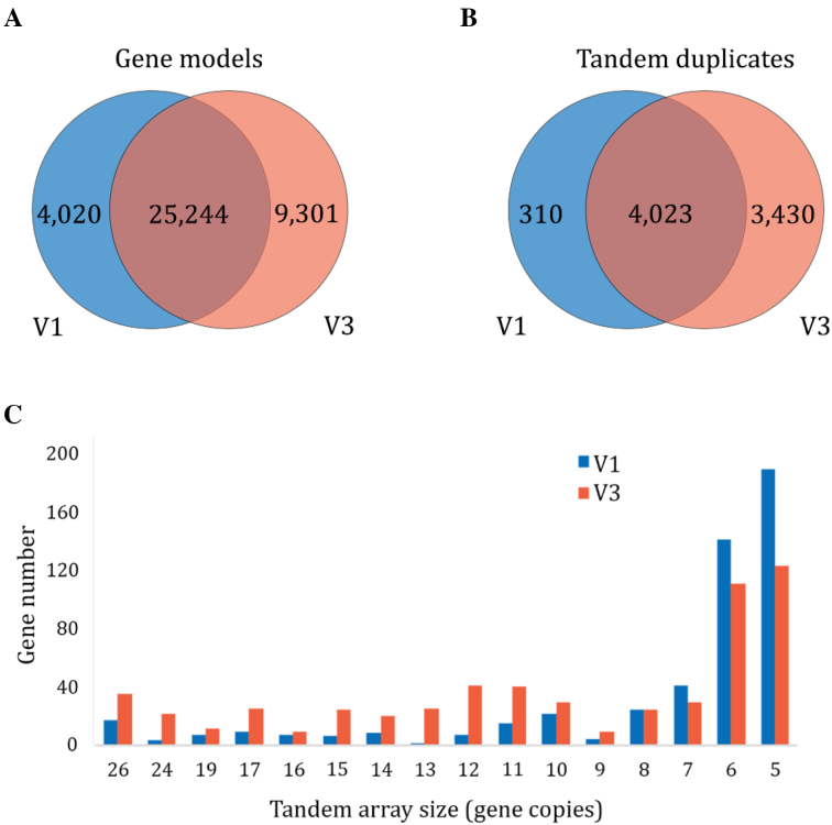 Figure 4: