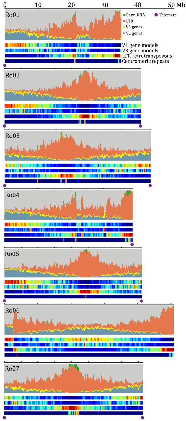 Figure 2: