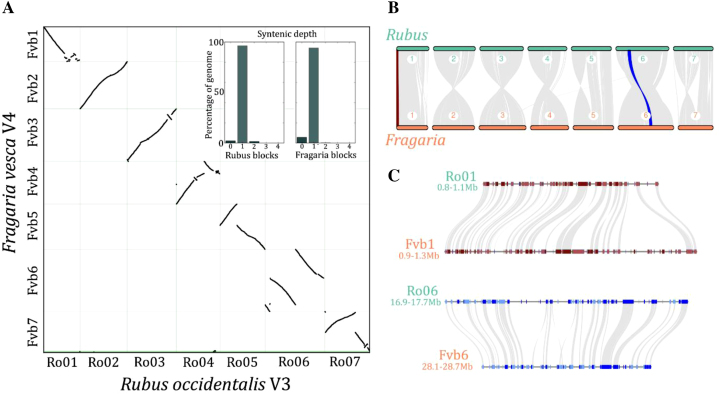 Figure 5: