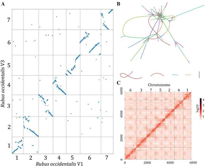 Figure 1: