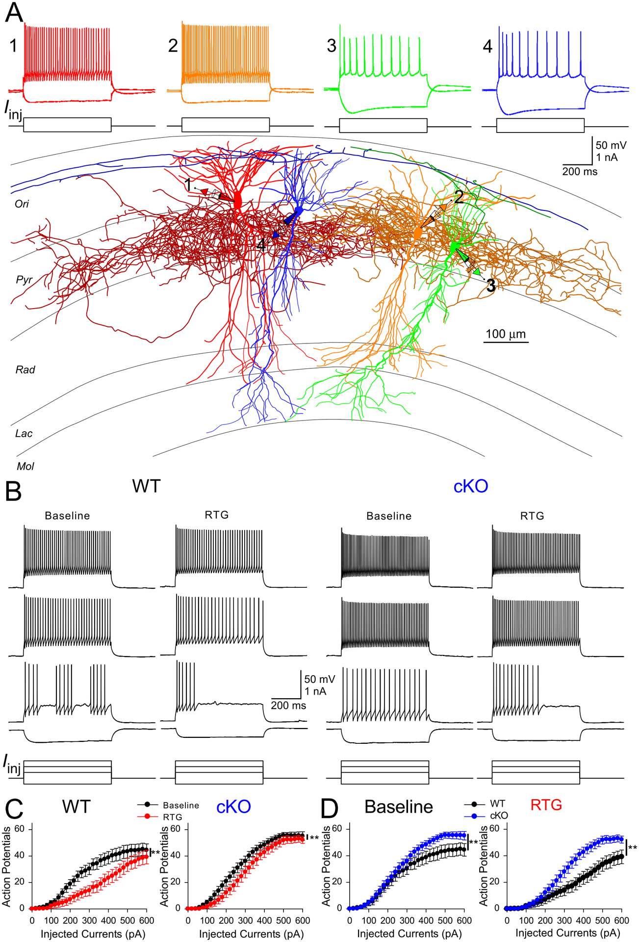 Figure 6.