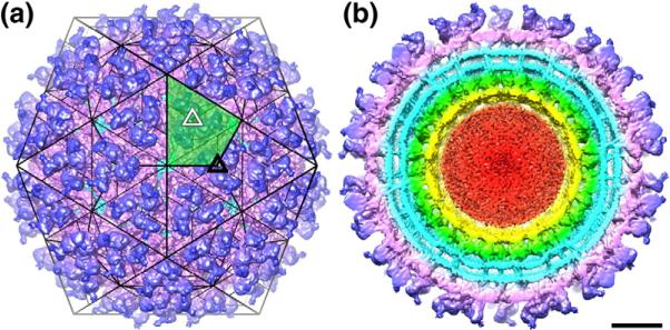 Fig. 2