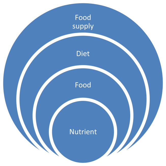 Fig. 1