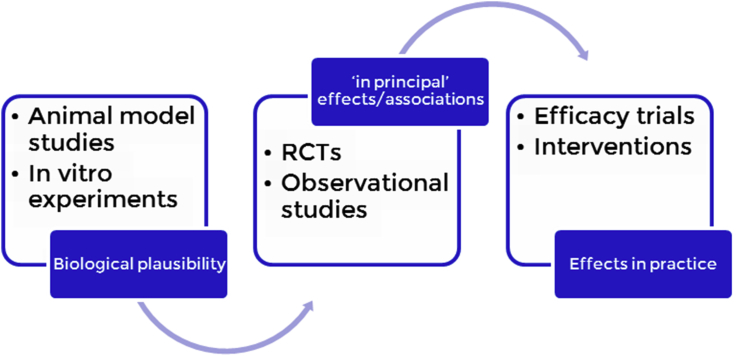 Fig. 2