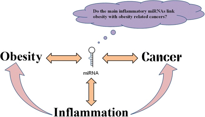 Graphical abstract