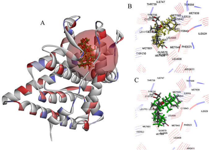 Figure 7