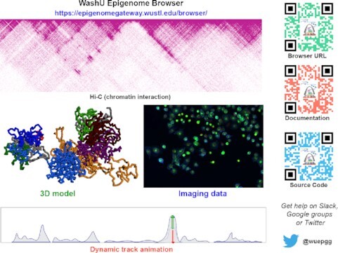 Graphical Abstract