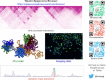Graphical Abstract