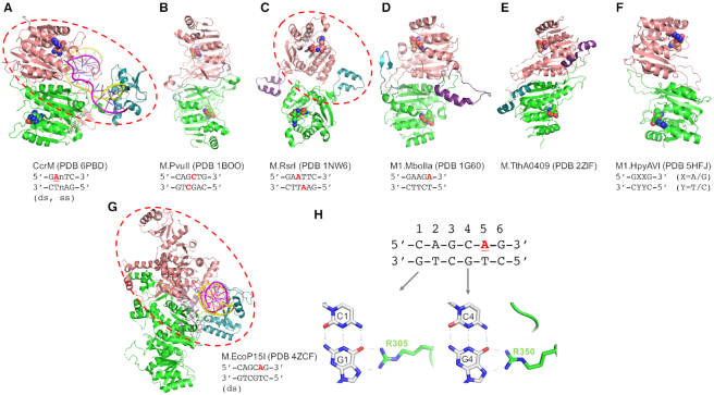 Figure 3.