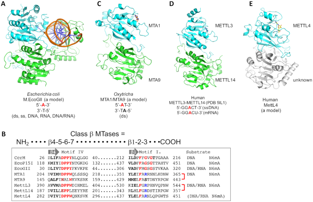 Figure 4.