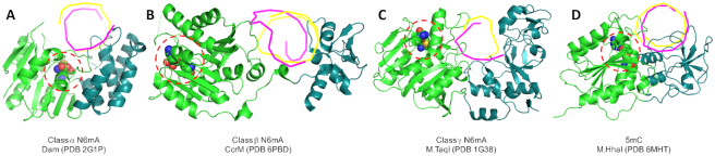 Figure 5.