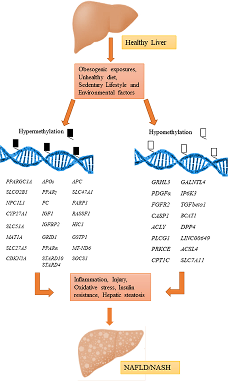 Figure 1