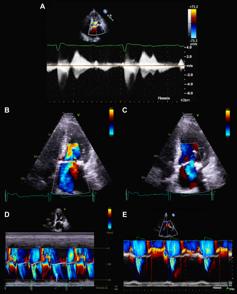 Figure 1