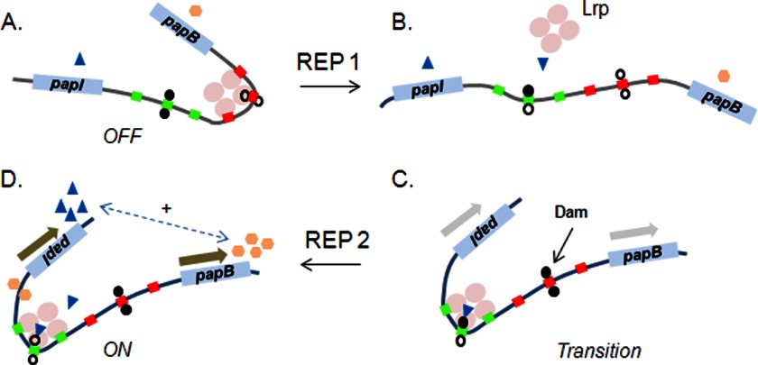 FIGURE 3.