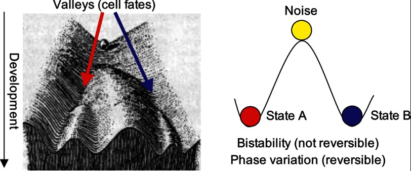 FIGURE 1.