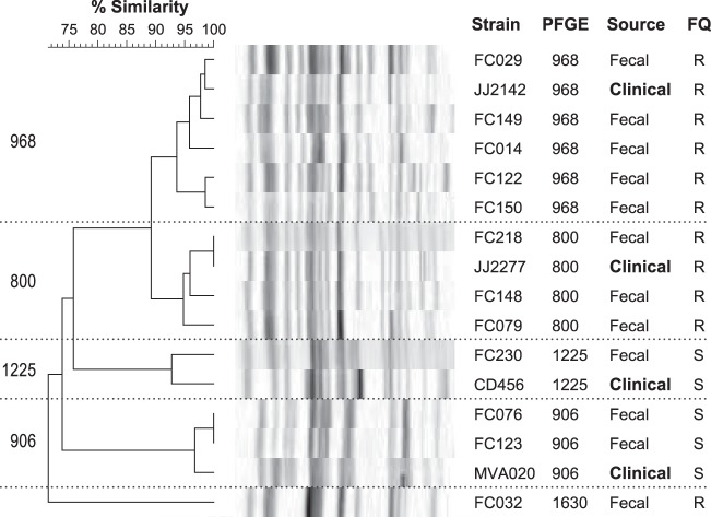 FIG 2